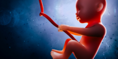 تاثير الغدة الدرقية على الجنين