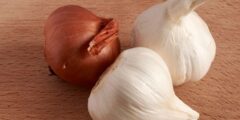 فوائد الثوم والبصل للجنس | ما هي فوائد الثوم والبصل للجنس وهل هي حقيقة أم خرافه؟