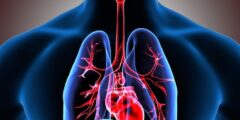 فوائد البصل للجهاز التنفسي