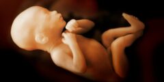 لماذا يرفس الجنين في بطن أمه  ؟ ما هي مراحل النمو للجنين في فترة الحمل ؟