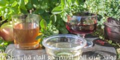 فوائد شرب الخل الأبيض مع الماء قبل النوم | هل الخل الابيض يساعد في التخسيس ؟