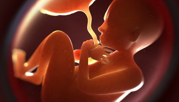 كيف تكون حركة الجنين قبل الولادة بساعات